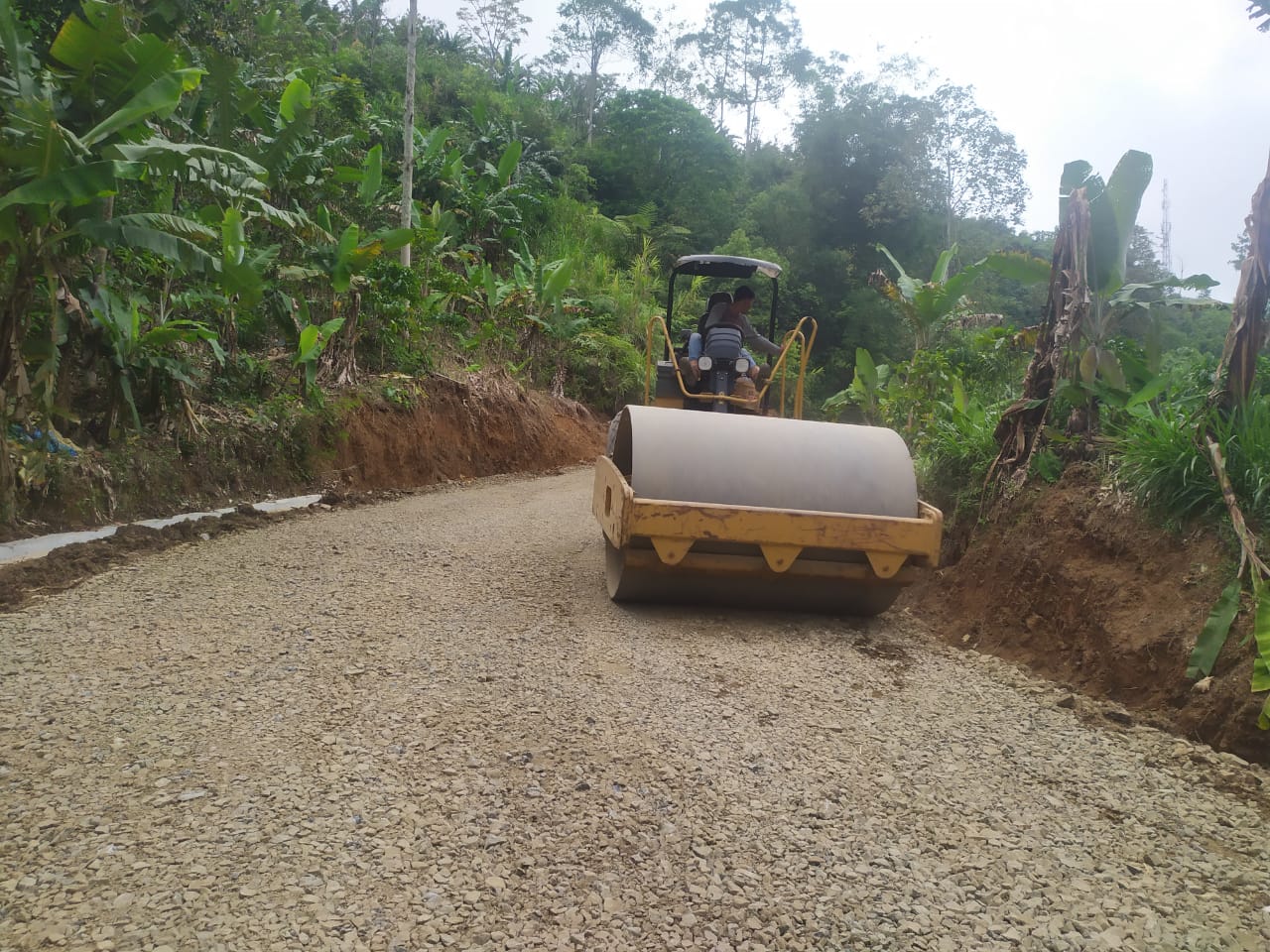 Image Perlancar Distribusi Kopi, Ruas Talang Padang-Ngarip Tanggamus Rigid Beton dan Aspal